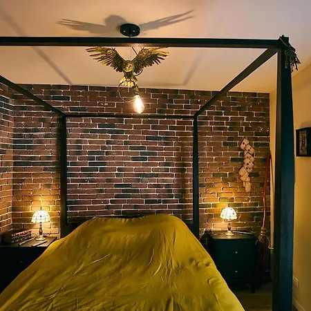 別荘 Unique A Saint-omer Cinema & Themes