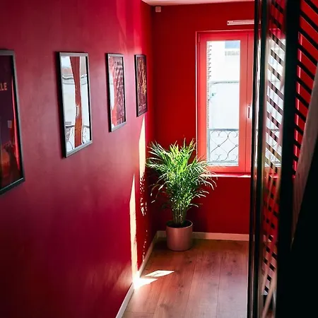 別荘 Unique A Saint-omer Cinema & Themes