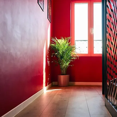 Unique A Saint-omer Cinema & Themes *